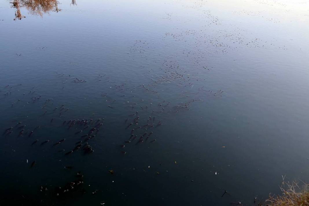 O kentte korkutan manzara: Ekipler apar topar inceleme başlattı! Yağmur suyu kanalları bile inceleniyor 4